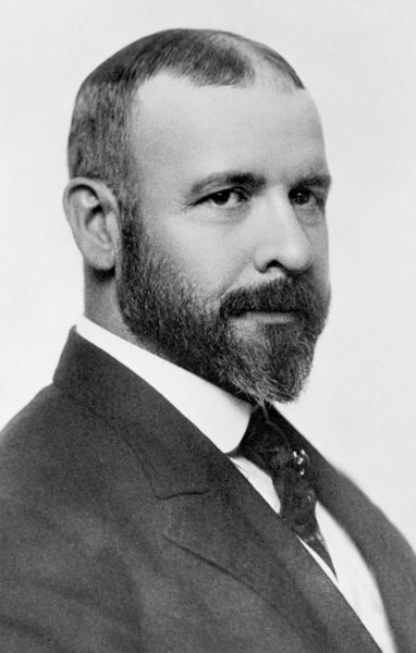 پرونده:Louis Sullivan circa 1895.jpg