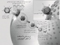 تصویر بندانگشتی از نسخهٔ مورخ ‏۲۱ مهٔ ۲۰۱۷، ساعت ۰۵:۴۶