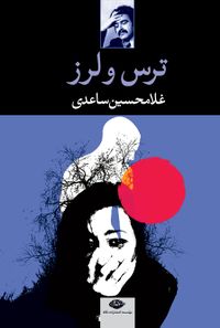 تصویر روی جلد کتاب