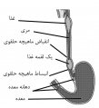 تصویر بندانگشتی از نسخهٔ مورخ ‏۲۱ مهٔ ۲۰۱۷، ساعت ۰۵:۴۶