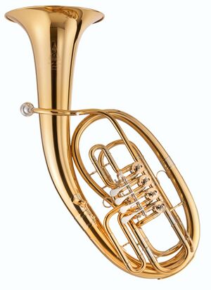 Tenor horn.jpg