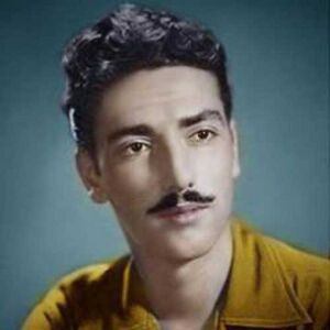 داریوش رفیعی.jpg