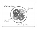 تصویر بندانگشتی از نسخهٔ مورخ ‏۲۱ مهٔ ۲۰۱۷، ساعت ۰۵:۴۶